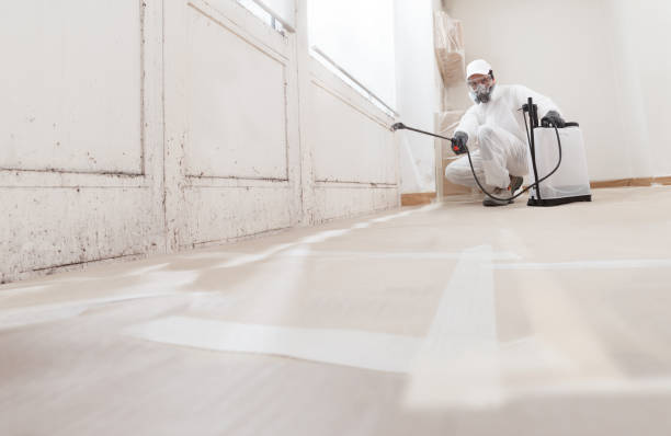 24/7 Emergency Mold Remediation experts in Somerset, NJ